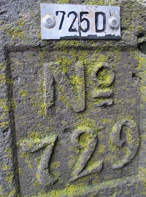 725d-regniet-gehucht-bij-anholt-detail