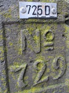 725d-regniet-gehucht-bij-anholt-detail
