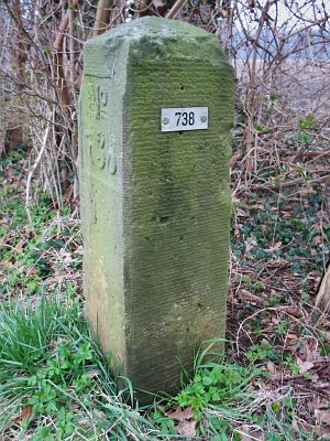 738-omg-ijzerlo-langs-veerbeek-paardenboer