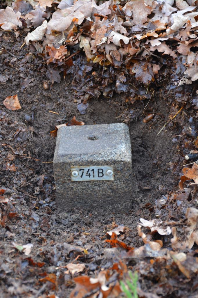 741 b foto van rob vaessens 30-12-2015.jpg