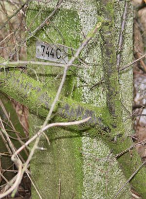 744c-omg-ijzerlo-n-ijde