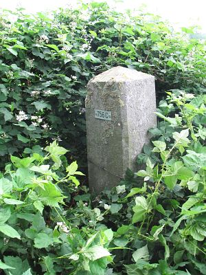 756c-dambeek