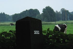 756d-dambeek