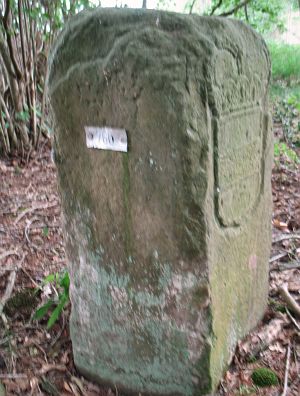 760-omg-woold