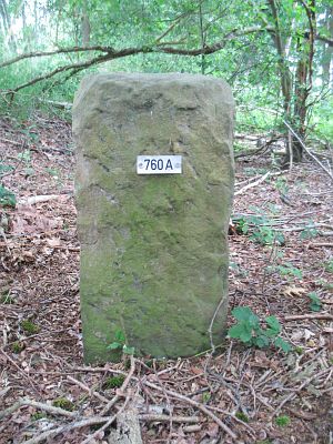 760a-omg-woold
