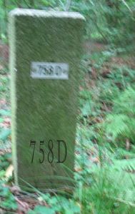 758d-dambeek