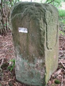 760-omg-woold