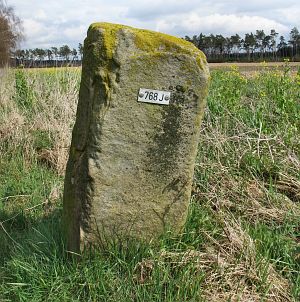 768j-wiggershuizen-vennbulten-plaatje