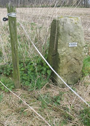 769b-wiggershuizen-vennbulten