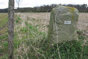769c-wiggershuizen-vennbulten