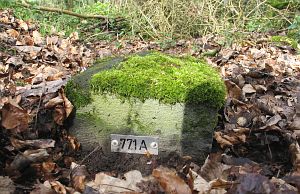 771a-omg-oude-spoorbaan-ri-oeding