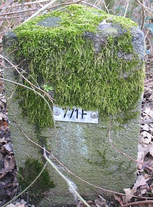 771f-omg-oude-spoorbaan-ri-oeding
