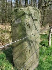 766d-begin-woolds-veen