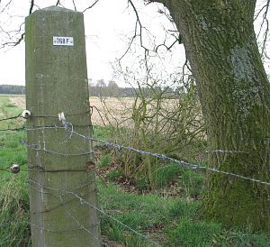 768f-wiggershuizen-vennbulten-plaatje
