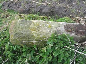 768g-wiggershuizen-vennbulten-paal