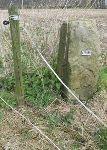 769b-wiggershuizen-vennbulten