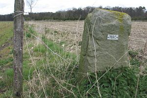 769c-wiggershuizen-vennbulten