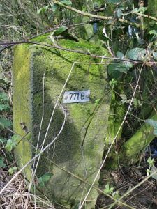 771g-omg-oude-spoorbaan-ri-oeding