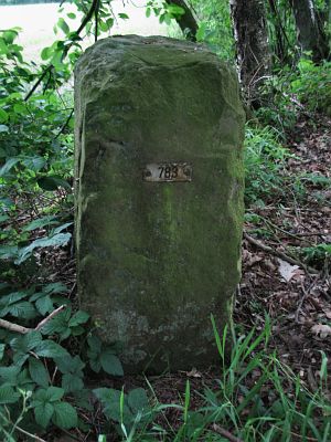 783-ratum-hessinghook
