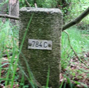 784c-ratum-sudlohn