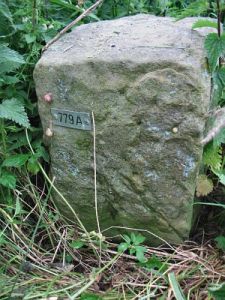 779a-hessinghook-vosseveld