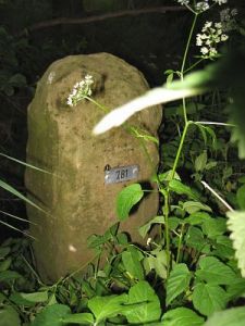 781-hessinghook-vosseveld