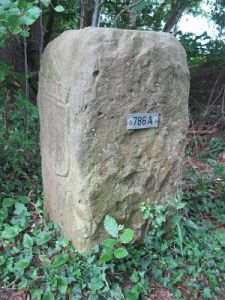 786a-ratum-sudlohn