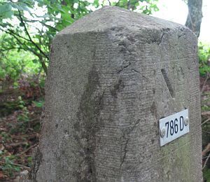 786d-ratum-sudlohn-detail