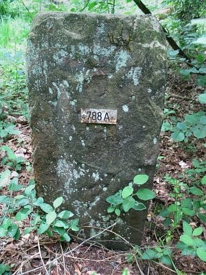 788a-ratum