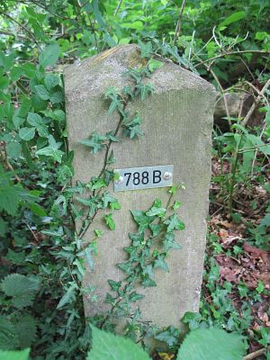 788b-ratum