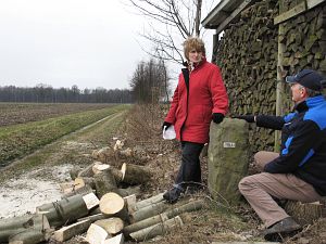 795a-ad-en-lenei-houtstapel
