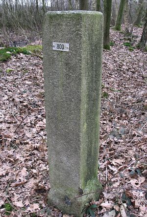 800-zuidzijde-zwilbroek-natuurgebied