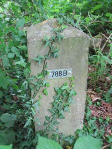 788b-ratum