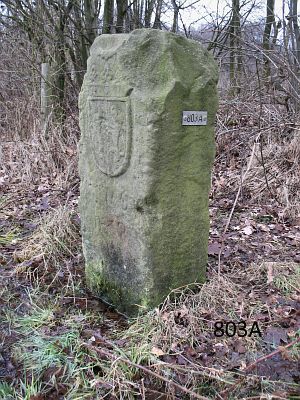 803a-westzijde-natuurgebied-zwilbroek