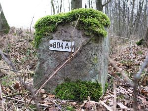 804a-westzijde-zwilbroek-natuurgebied