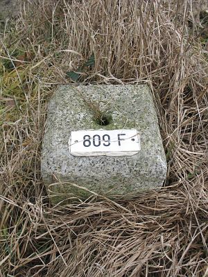 809f-veengoot-zwillbrock