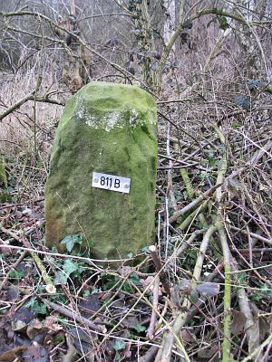 811b-omg-slemphutte