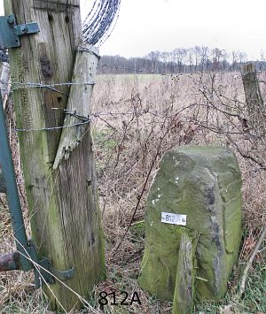 812a-omg-stumps