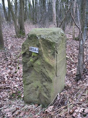813a-omg-stumps