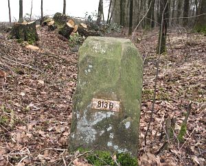 813b-omg-stumps