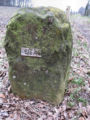 816a-omg-donnerburg