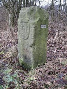 803a-westzijde-natuurgebied-zwilbroek