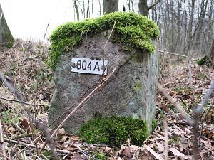 804a-westzijde-zwilbroek-natuurgebied
