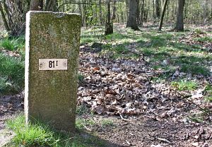 81-i-hezingen-hesinger-esch