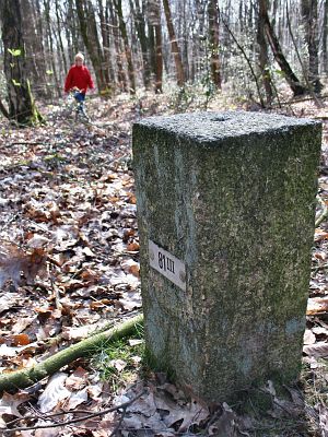81-iii-hezingen-hesinger-esch