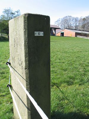 82-hezingen-scholte-nieling