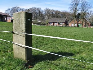 82-hezingen-scholte-nieling1