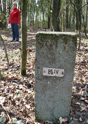 86-iv-noordelijk-manderheide