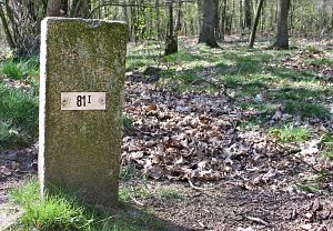 81-i-hezingen-hesinger-esch