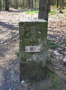 85-i-grafheuvels-het-streu